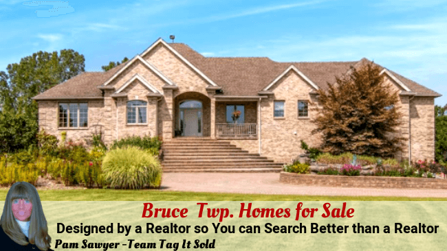 Bruce Township MI Homes for Sale - Buy a Home | Team Tag It Sold